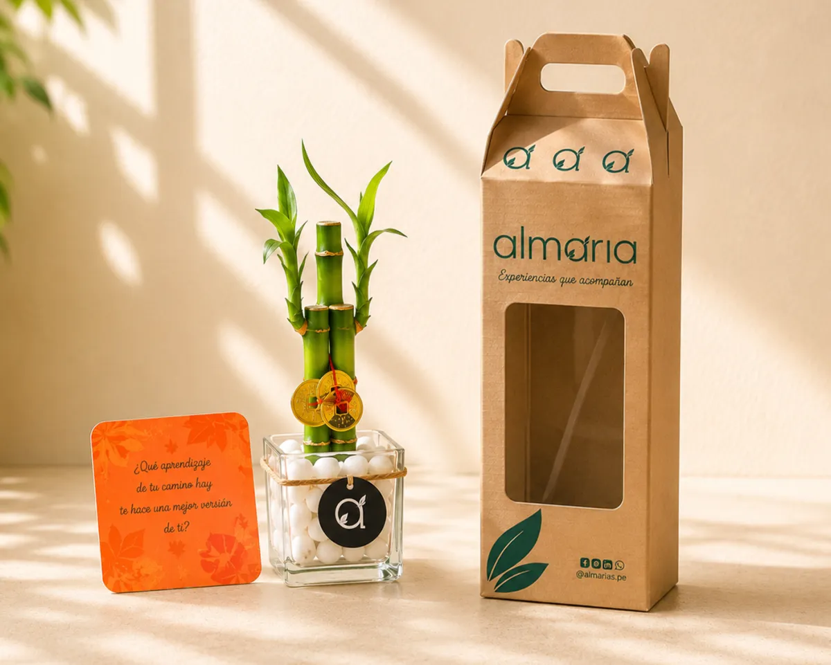 Regalo ALMARIA con maceta blanca, card amarilla y caja de intención