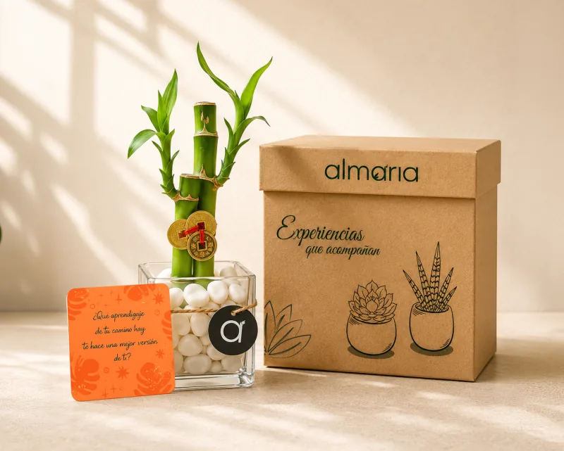 Regalo ALMARIA con bambú, card naranja y caja de intención