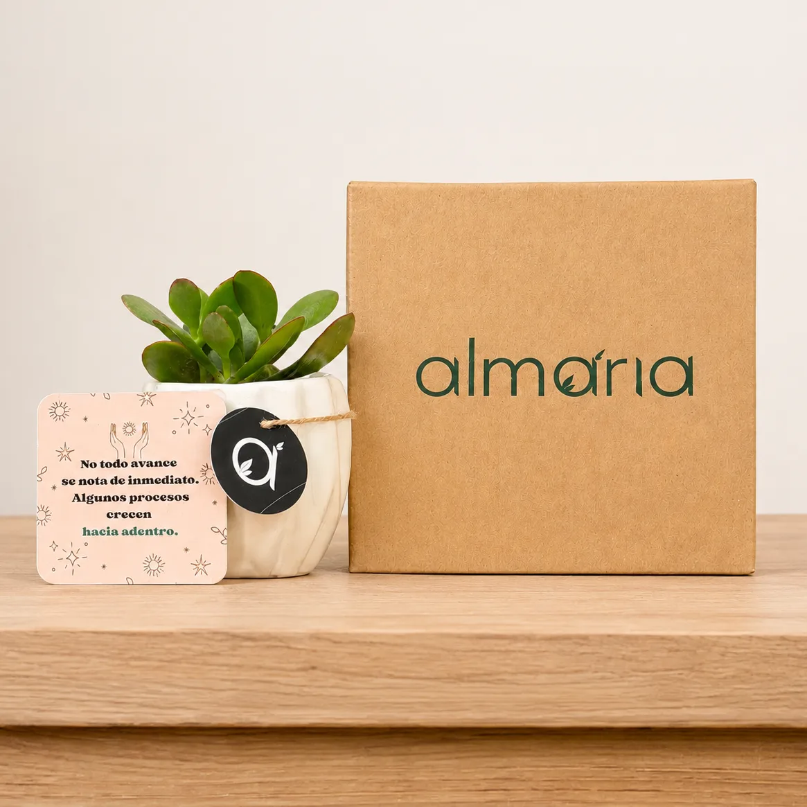 Plano detalle del Kit Almaria Express con sus elementos