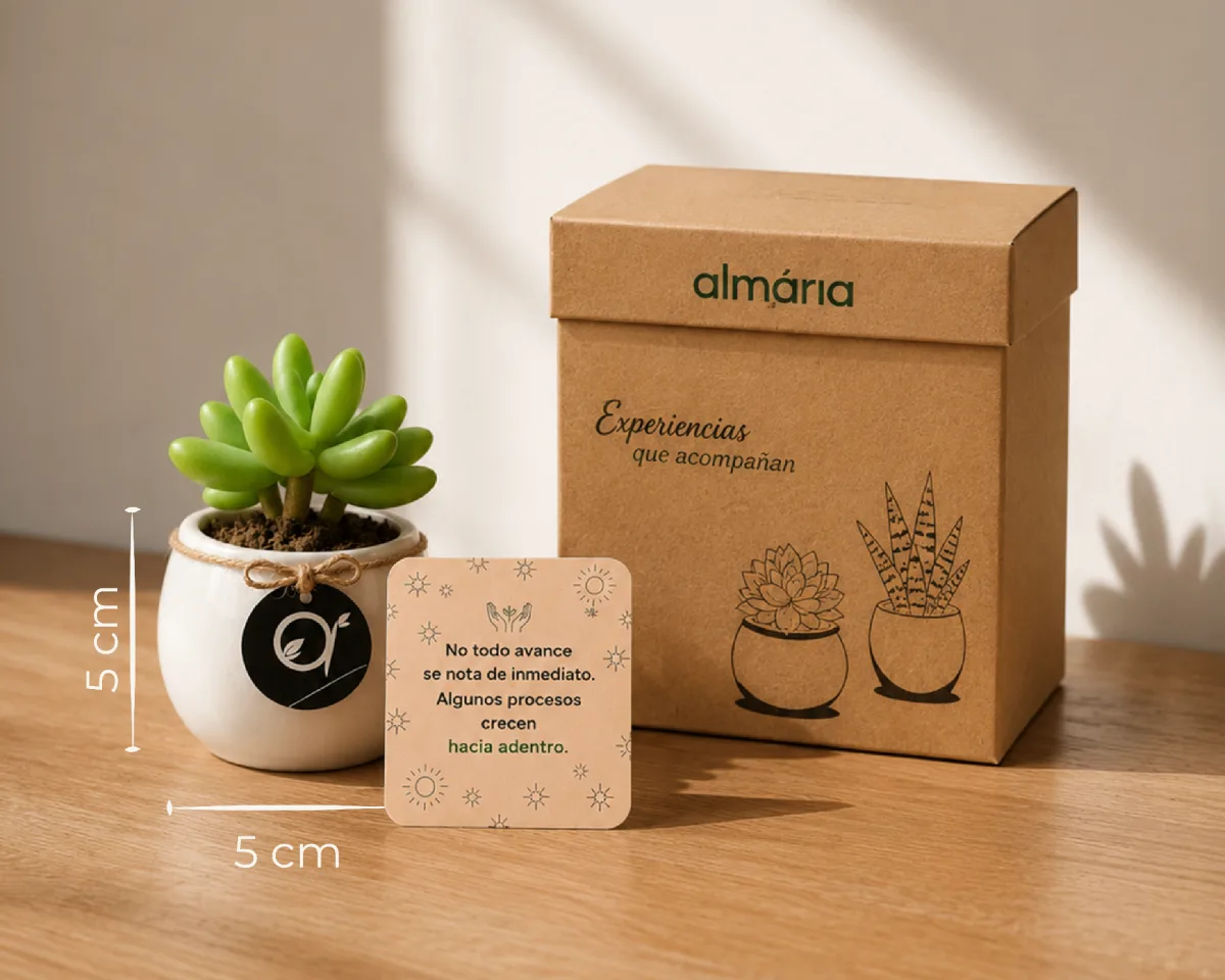 Experiencia Express Mini — experiencia express con planta simbólica, card y aromaterapia