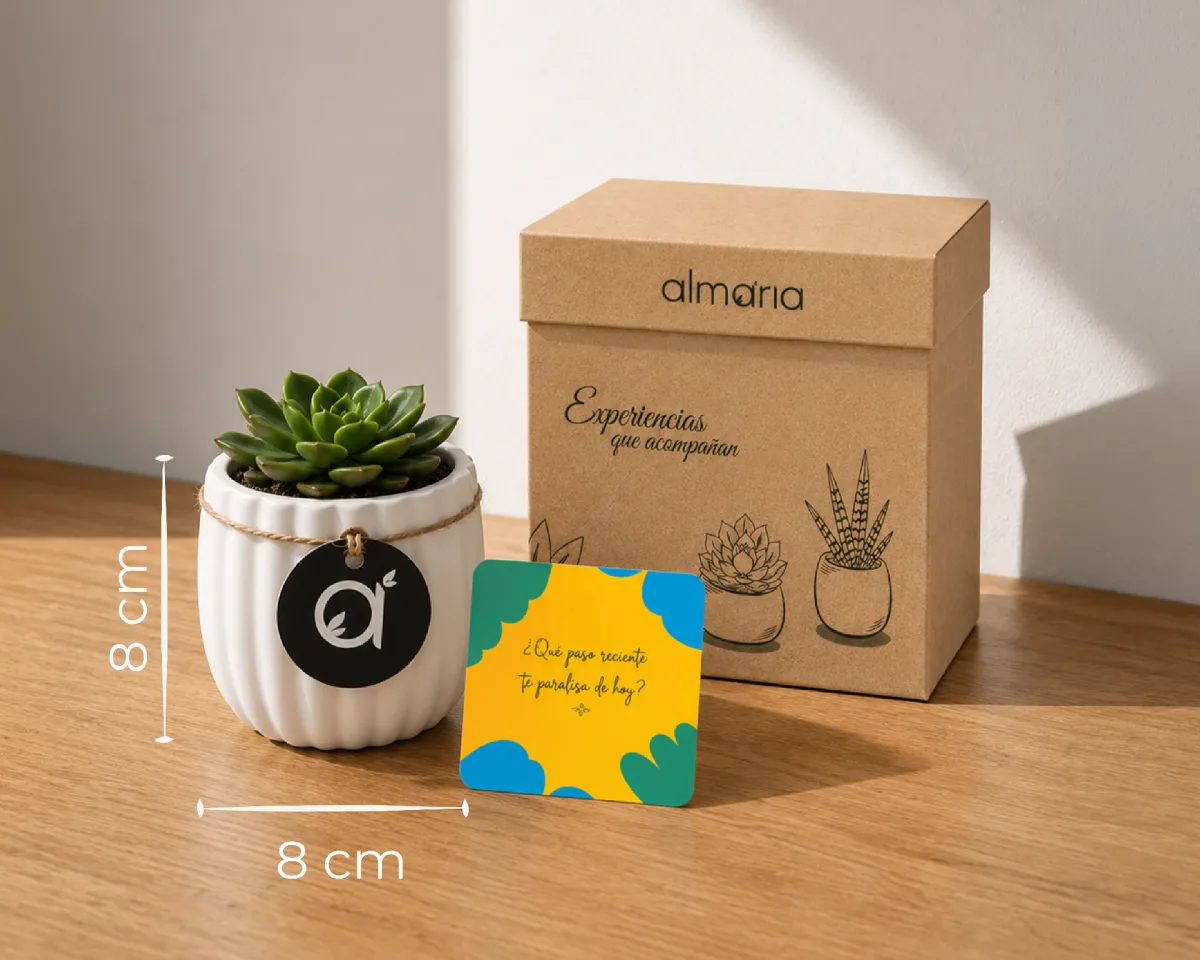 Experiencia Express Maxi — experiencia express con planta simbólica, card y aromaterapia