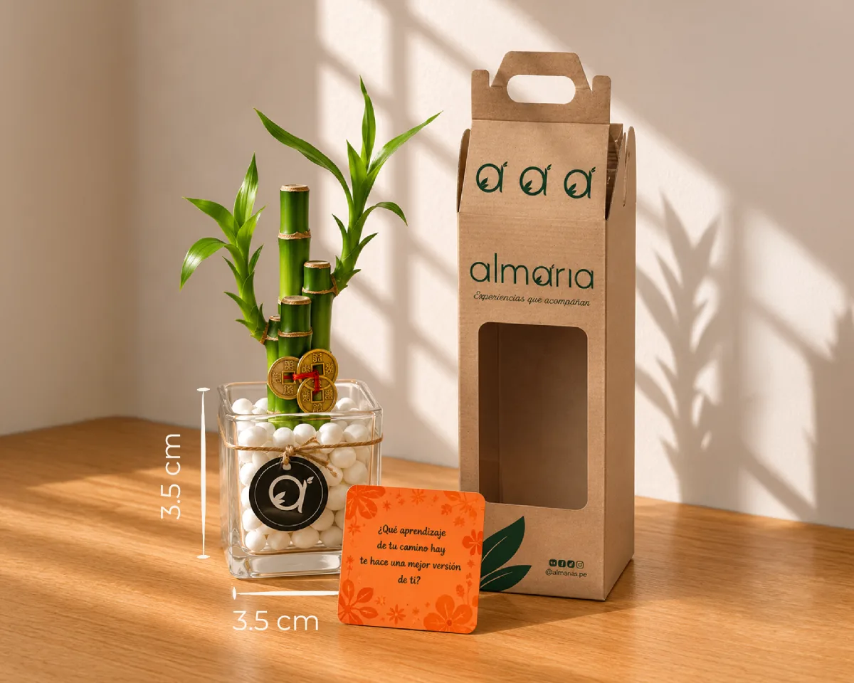 Experiencia Express Bambú — experiencia express con planta simbólica, card y aromaterapia